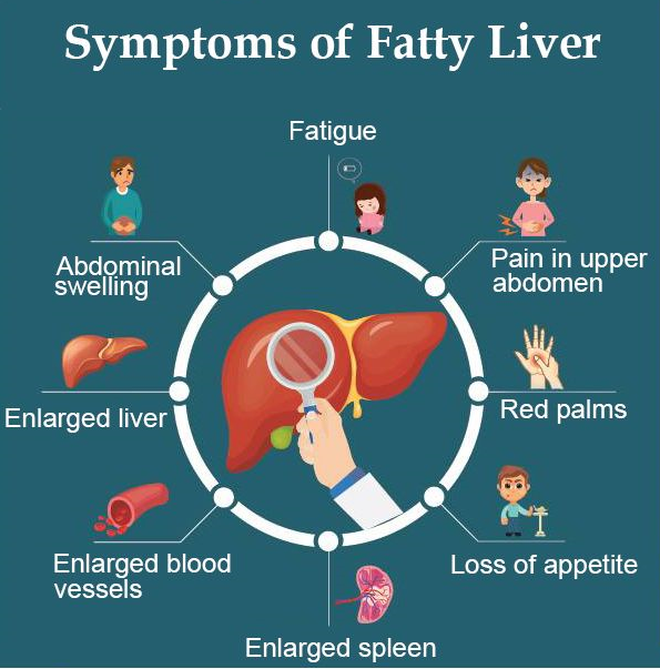 Healthy Liver