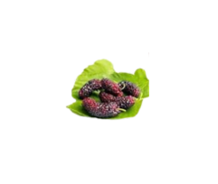 Anthoocyanin